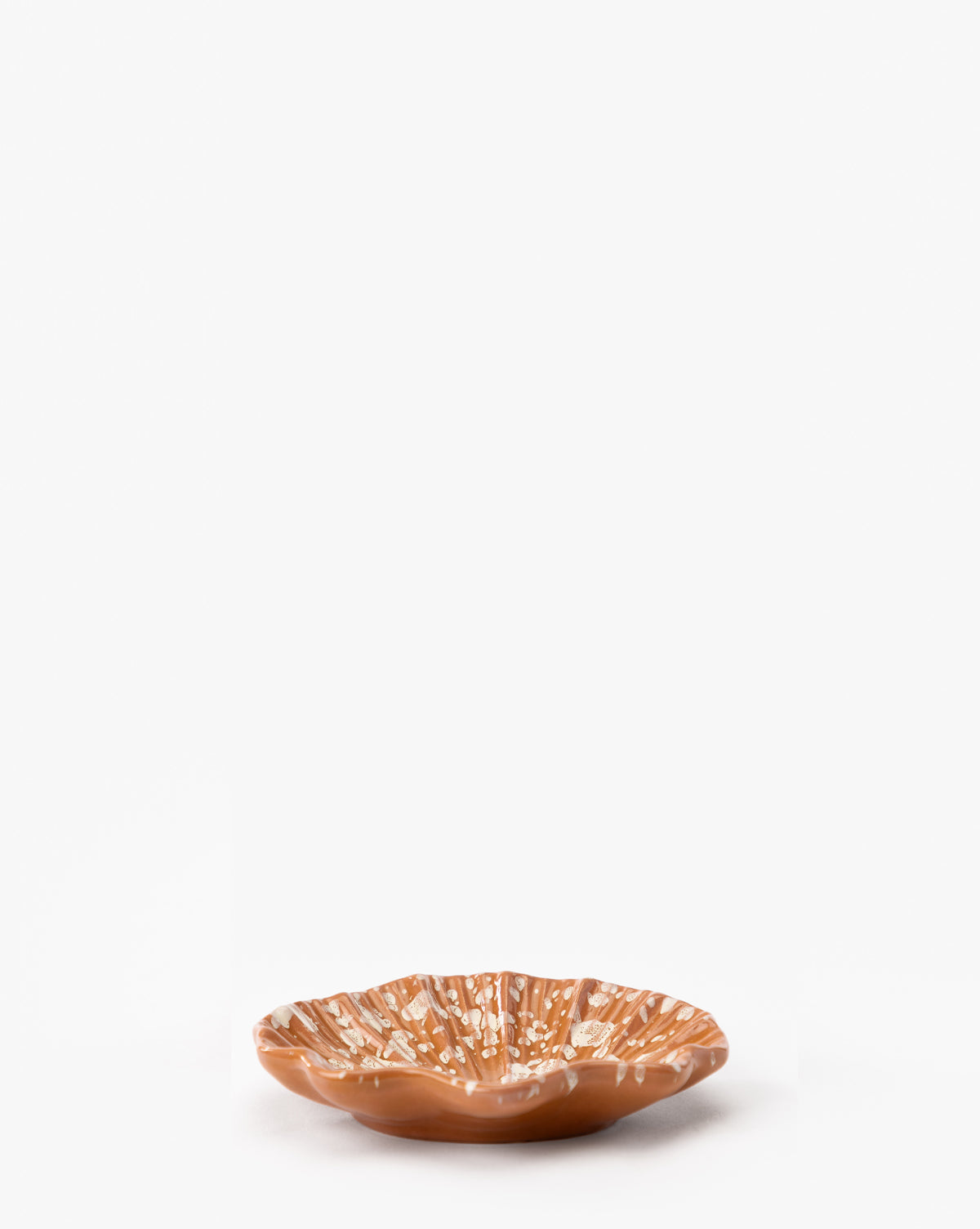 https://cdn.shopify.com/s/files/1/1496/0124/files/SplatterCoquillageDish-MDCR3050-TER-OS-D1-T.jpg?v=1743615519